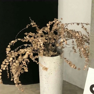 Furry创作素材整理FurryQQ群